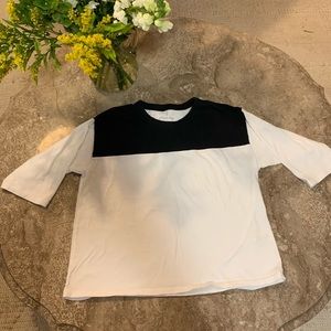 Everlane Shirt